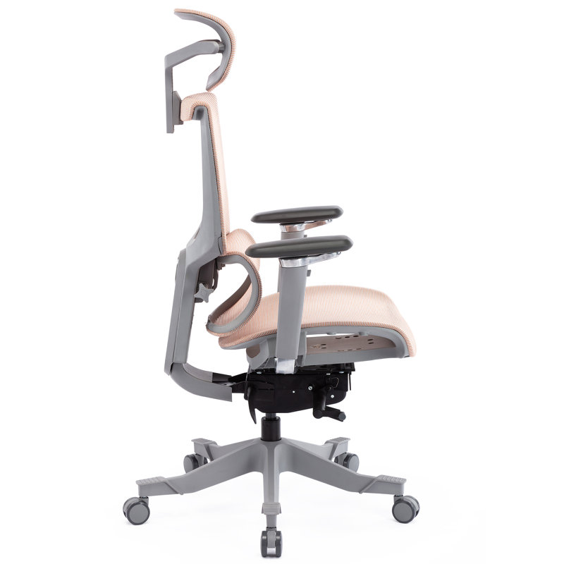 Latitude Run® Tatamy Office Ergonomic Mesh Task Chair & Reviews Wayfair